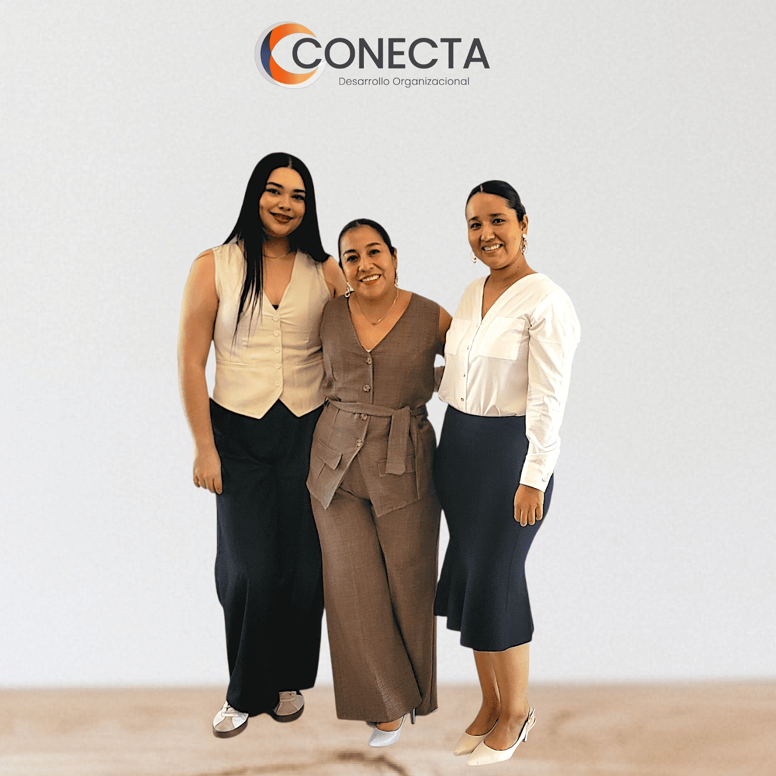 Equipo de Consultoría Profesional